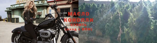 PSILOCYBIN Алзамай