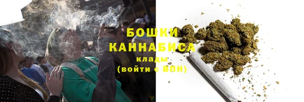 PSILOCYBIN Алзамай