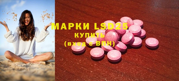 PSILOCYBIN Алзамай