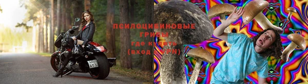 PSILOCYBIN Алзамай