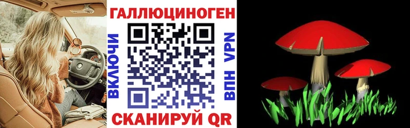 даркнет сайт Билибино Псилоцибиновые грибы MAGIC MUSHROOMS